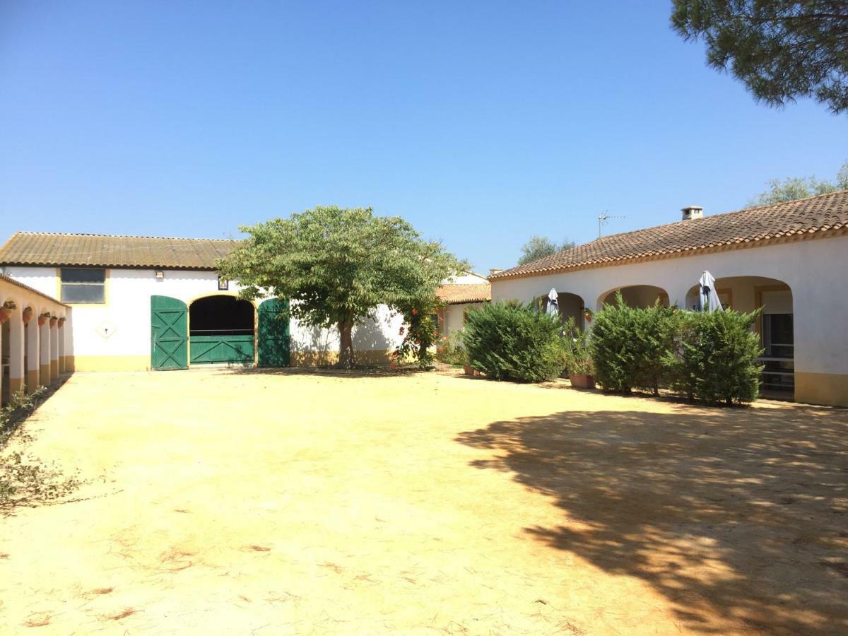 El Rocio 1 Gites Equestre Saintes-Maries-de-la-Mer Exteriör bild