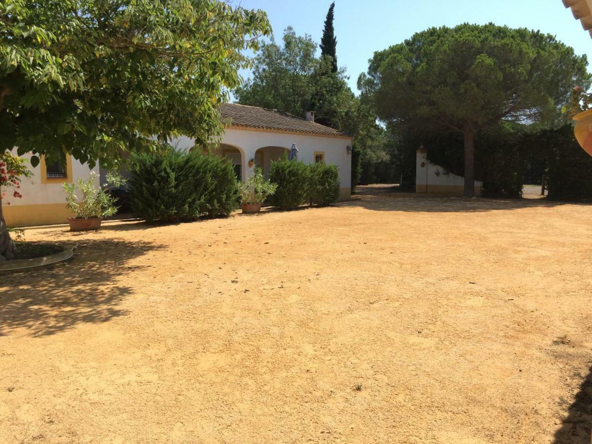 El Rocio 1 Gites Equestre Saintes-Maries-de-la-Mer Exteriör bild