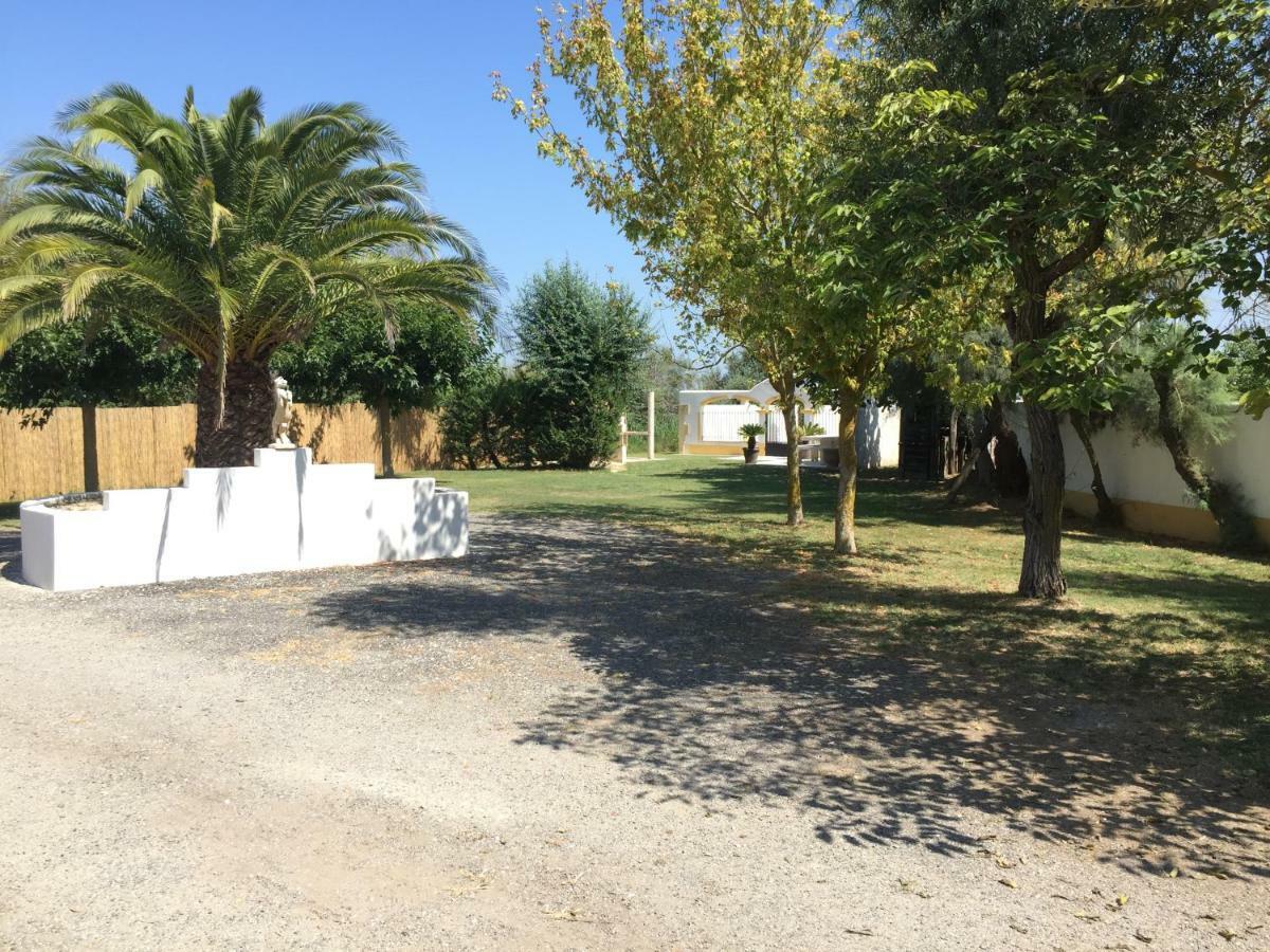 El Rocio 1 Gites Equestre Saintes-Maries-de-la-Mer Exteriör bild